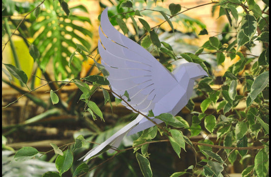 Duif - Eveli Gemiddeld (papier) Default Title 3D Origami DIY Papercraft do-it-yourself
