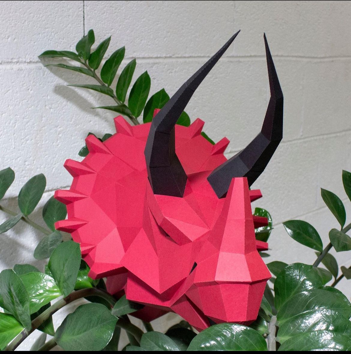 Triceratops